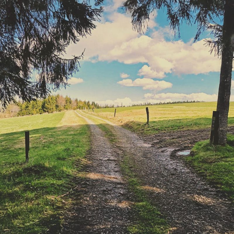 Neue Wege – klare Perspektiven Neue Wege - klare Perspektiven